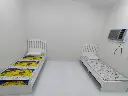 شقه